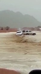 بالفيديو شاب يقوم بإنقاذ عائلة علقت سيارتهم بسيل جارف في حائل