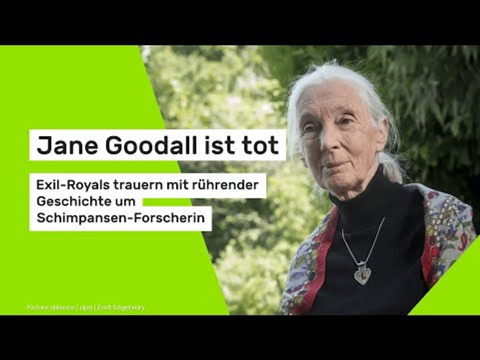Jane Goodall ist tot: Exil-Royals trauern mit rührender Geschichte um Schimpansen-Forscherin