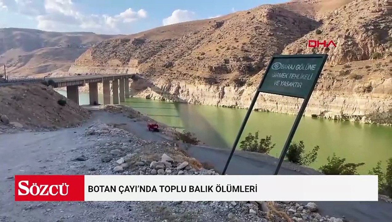 Botan Çayı’nda toplu balık ölümleri