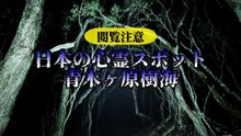 日本の心霊スポット 青木ヶ原樹海