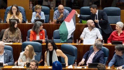 Tensión y bronca en la Asamblea de Madrid por una bandera palestina: "¡Que la baje!"