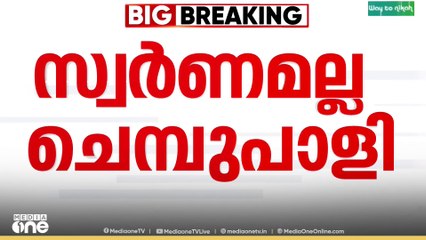 'അയ്യപ്പനെ സേവിക്കാൻ കിട്ടിയ അവസരം'  കിട്ടിയത് ചെമ്പ് പാളിയെന്ന് അനന്ത സുബ്രഹ്മണ്യം