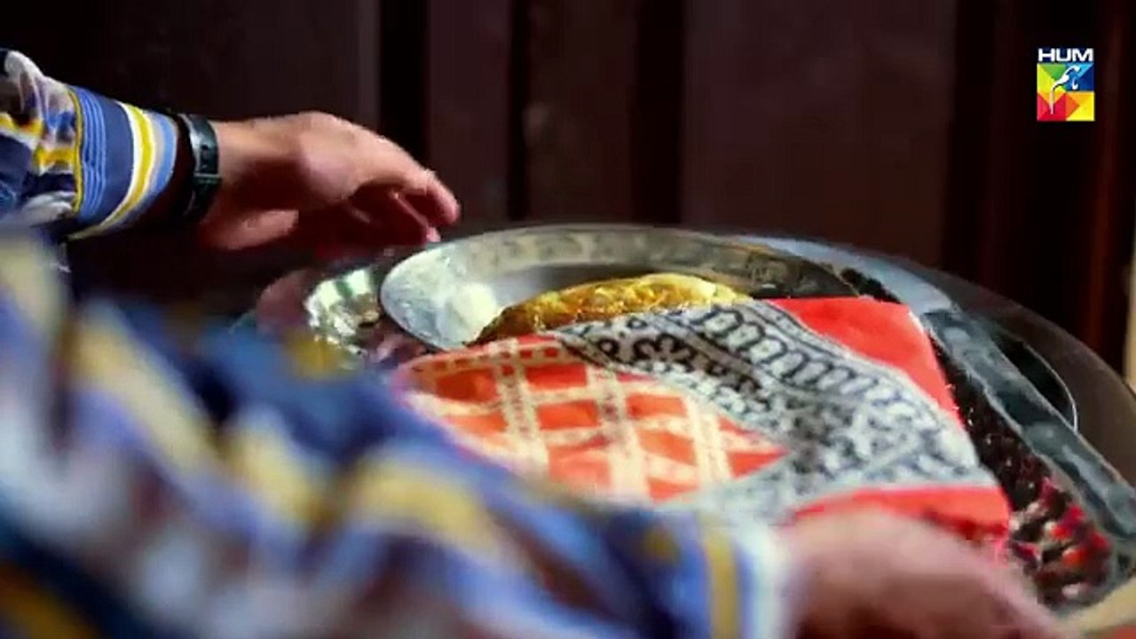 Choti Si Zindagi Episode #16 HUM TV Drama