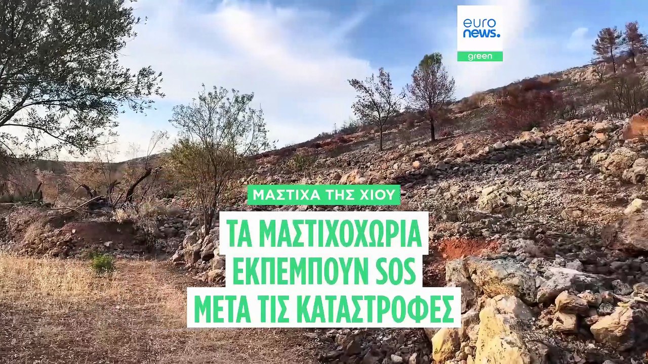 Τα μαστιχοχώρια της Χίου εκπέμπουν σήμα κινδύνο...