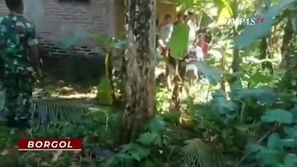 Tega! Pria di Purbalingga Aniaya Paman dan Bibi Lansia dengan Senjata Tajam hingga Tewas| BORGOL