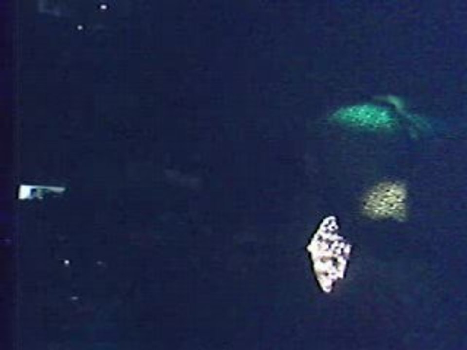 RECO0338