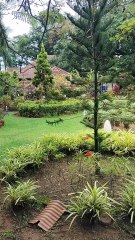 Hospital road in Ernakulam/ most travel guide in kerala