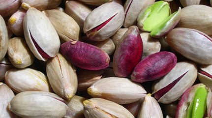 Pistacchio di Bronte, i carabinieri blindano "l'oro verde": sequestri e sanzioni (02.10.25)