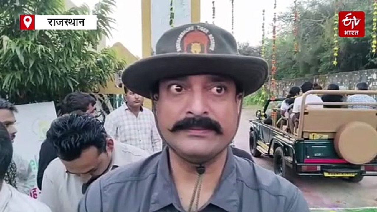 पर्यटन सीजन की शुरूआत: सरिस्का में हुई बाघिन की साइटिंग, रणथंभौर में पर्यटकों ने देखी शावकों की अठखेलियां