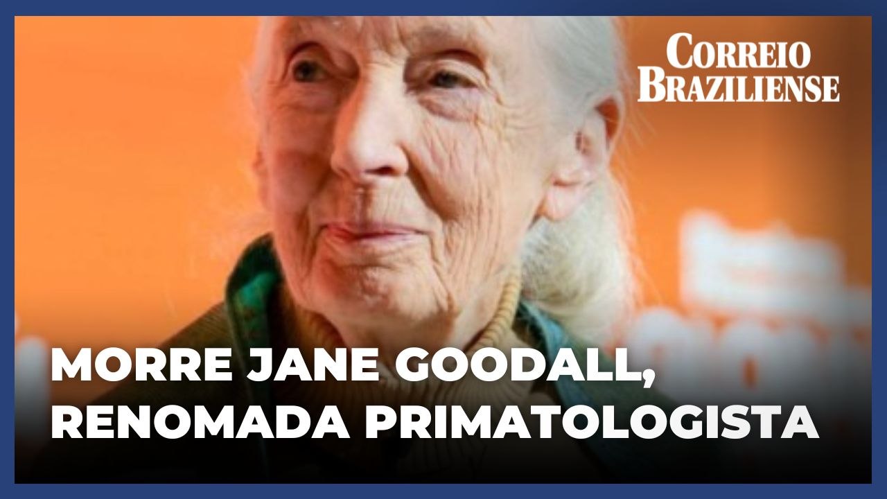 Morre Jane Goodall, bióloga referência em primatas, aos 91 anos
