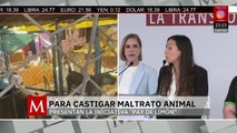 Iniciativa 'Pay de limón' busca cárcel por maltrato animal en México