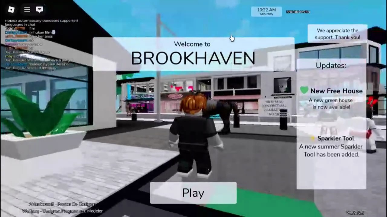 playing Roblox Brookhaven for the first time