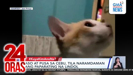 Aso at pusa sa Cebu, tila naramdaman ang paparating na lindol | 24 Oras