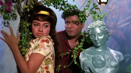 TUMSE ACHHA KAUN HAI - SHAMMI KAPOOR MOVIE REVIEW