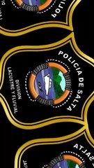 Desarticulan red de pescadores ilegales