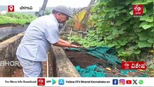ಬಾರ್ ಬಂದ್ ಮಾಡಿ ಸಾವಯವ ಕೃಷಿ ಕಡೆ ಮುಖ; ಗೊಬ್ಬರ ಮಾರಿ ವರ್ಷಕ್ಕೆ 6 ಲಕ್ಷ ಆದಾಯ; 80ರ ವೃದ್ಧನ ಸಾಹಸಗಾಥೆ!