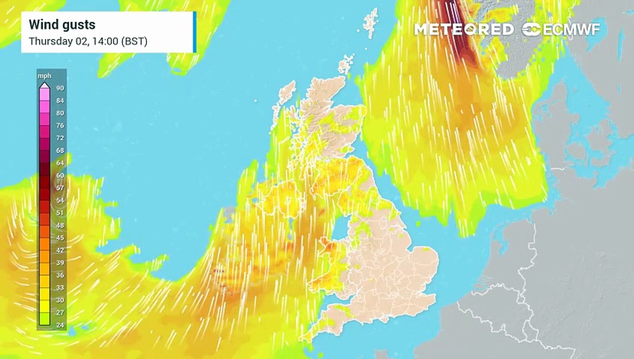 Storm Amy