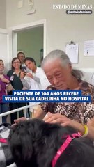Paciente de 104 anos recebe visita de sua cadelinha no hospital