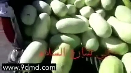 بالفيديو ماذا كتب أحدى بائعي البطيخ في السعودية على لافتة لكي يجذب الزبائن