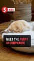 Moflin: Furry AI companion with 4 million personalities