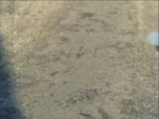 Onkel Anders og Lille Per på rutsjebanen i Tivoli | Far til fire i byen | 1956 | TV2 PLAY