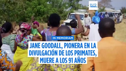 Fallece Jane Goodall, pionera en el estudio de los chimpancés, a los 91 años