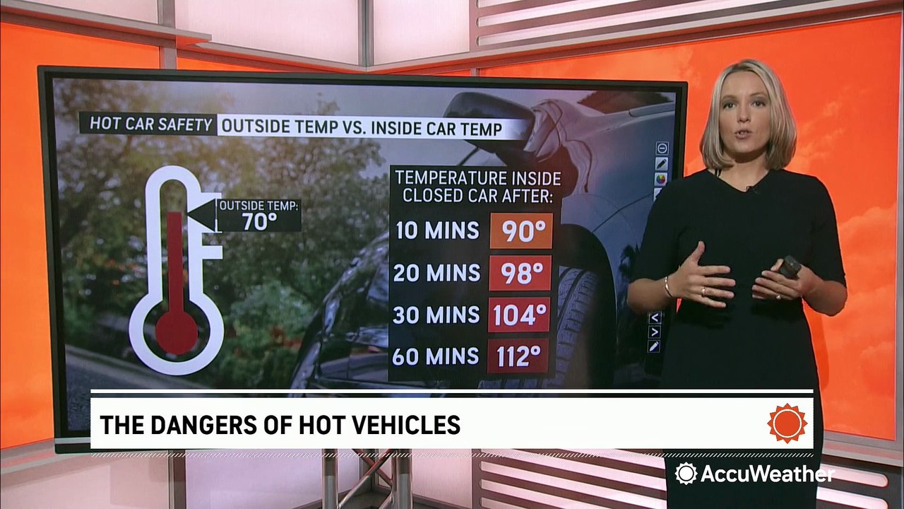 Hot car dangers