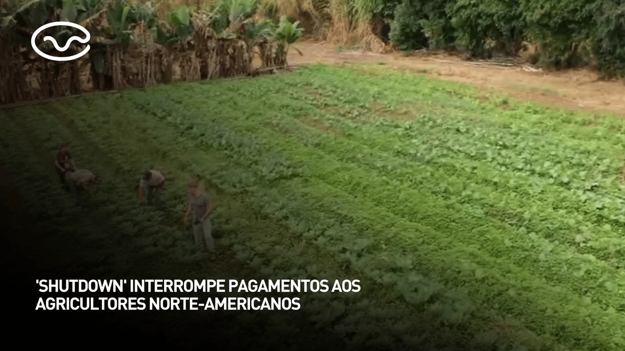 "Shutdown" interrompe pagamentos ao agricultores norte-americanos