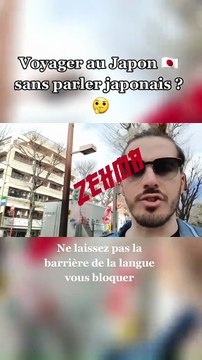 Voyager au Japon sans parler Japonais ? 🤔🇯🇵 (2020)