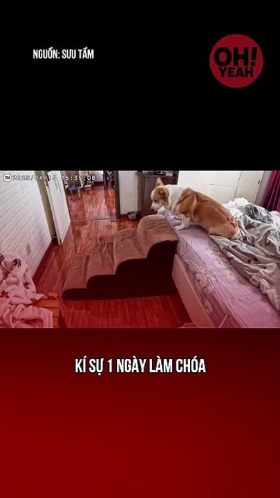 Làm chóa nó sướng lắm mấy bà ơi