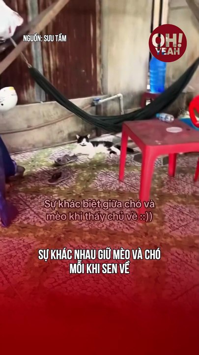 Về nhà là hai trạng thái săn đón
