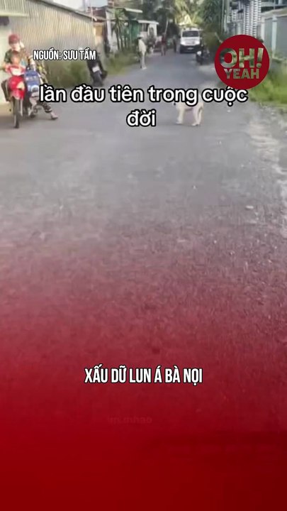 Gì mà xấu dữ z má