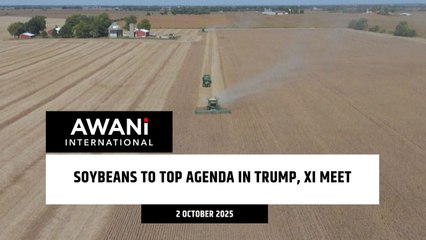 Soybeans to top agenda in Trump, Xi meet