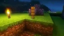 😎 rejoins le Discord dans ma bio #minecraft #mast