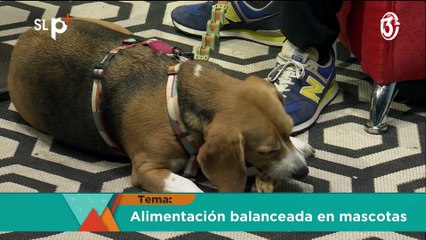 SLP Miércoles 1 oct entrevista 1