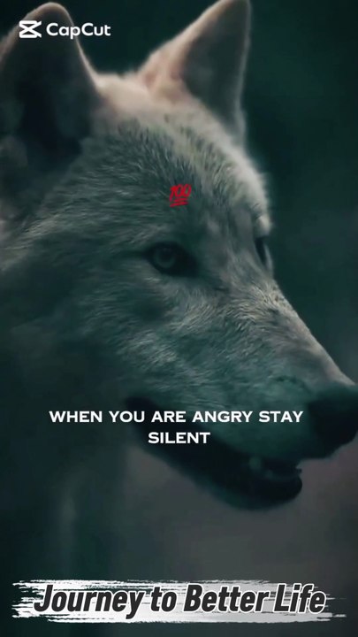 Stay Silent🤫