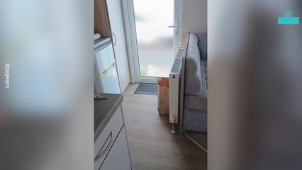 Hilarious Moment Seagull Pranks Man by Knocking on Door