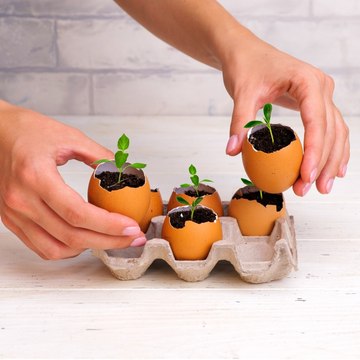 12 incredible gardening tips and growing hacks for plant lovers.