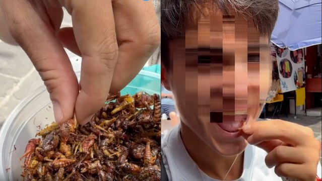 El oro olímpico español que come saltamontes en México