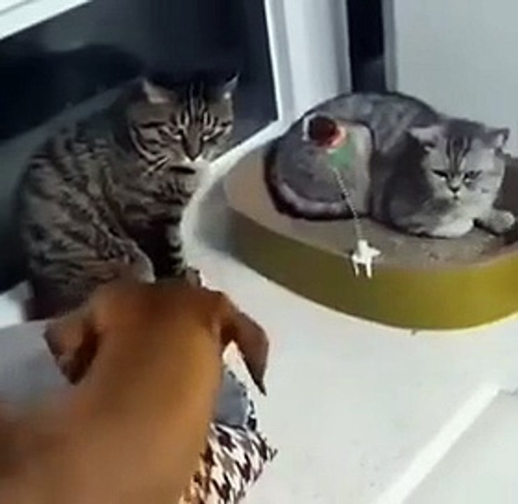 Pardon, mon seigneur...?