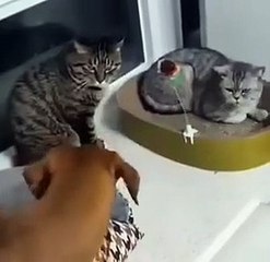 Pardon, mon seigneur...?