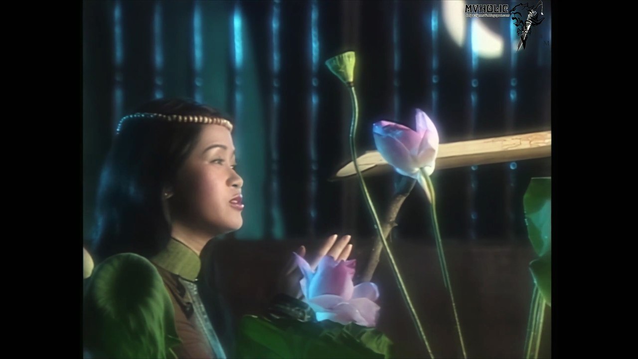Hồng Nhung - Đóa hoa vô thường [OFFICIAL MV] [4K HD REMASTERED]