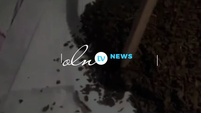 ضبط 37 ألف كيس من مادة التنباك بالبطحاء