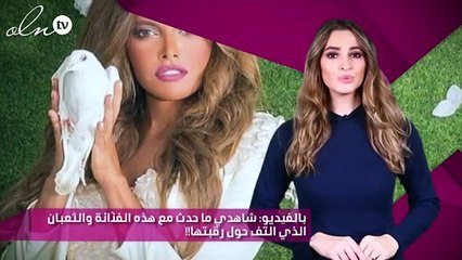 بالفيديو: شاهدي ما حدث مع هذه الفنّانة والثعبان الذي التف حول رقبتها!!