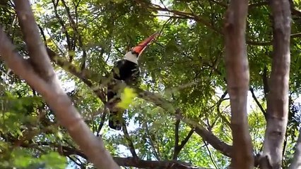 Karbala_ka_Waqia____Hazrat_Imam_Hussain_Shahadat__Hussain_ibn_e_Ali_Story__Imam_Husain_and_Shahadat(0)