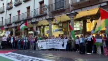 Cerca de un millar de personas protestan en Valladolid en apoyo a la flotilla