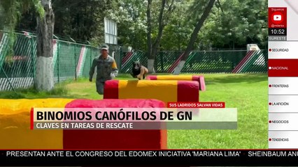 Binomios caninos listos para salvar vidas en desastres