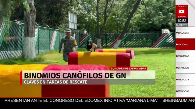 Binomios caninos listos para salvar vidas en desastres