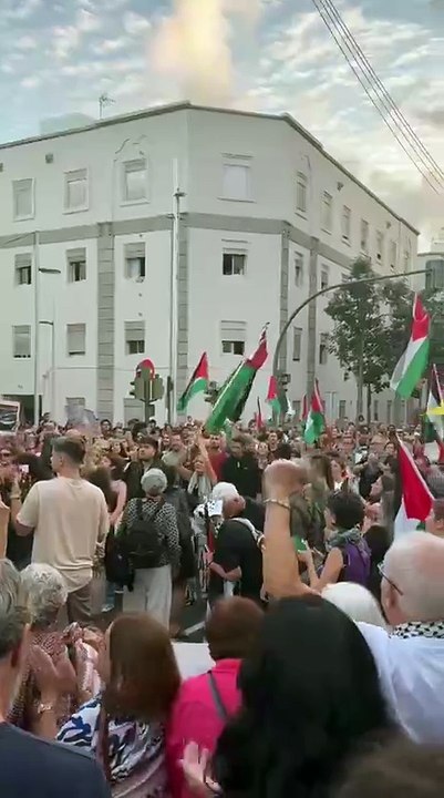 Concentración en apoyo a la Global Sumud Flotilla y a Palestina en Santa Cruz de Tenerife. / ÁLVARO OLIVER