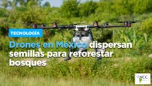 Drones en México dispersan semillas para reforestar bosques